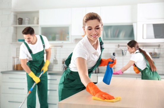 Committed to Clean, Driven by Excellence​