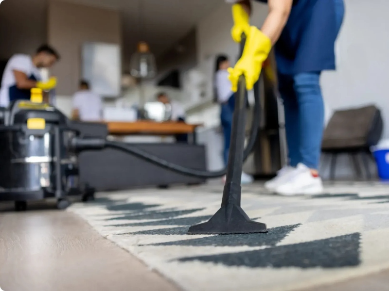 domestic cleaning services near me