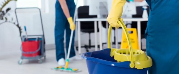 Maid Services in My Area Eco Friendly And Pet Safe Maid Services Available