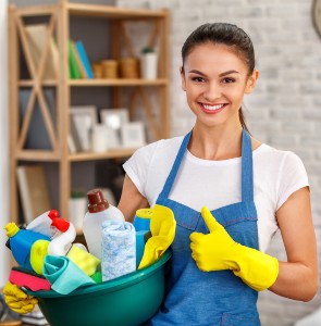 Professional Cleaner New Jersey
