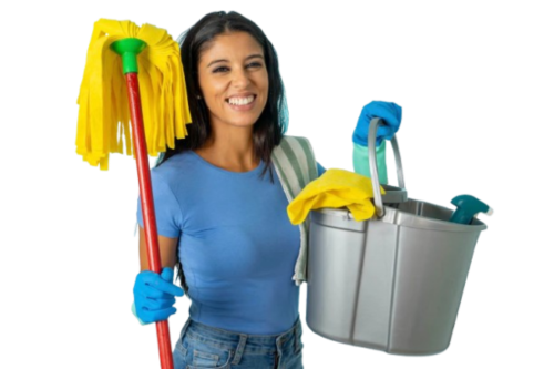 Professional Cleaning Services