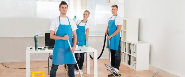 Domestic Cleaning Services Near Me specialized cleaning that reflects your priorities
